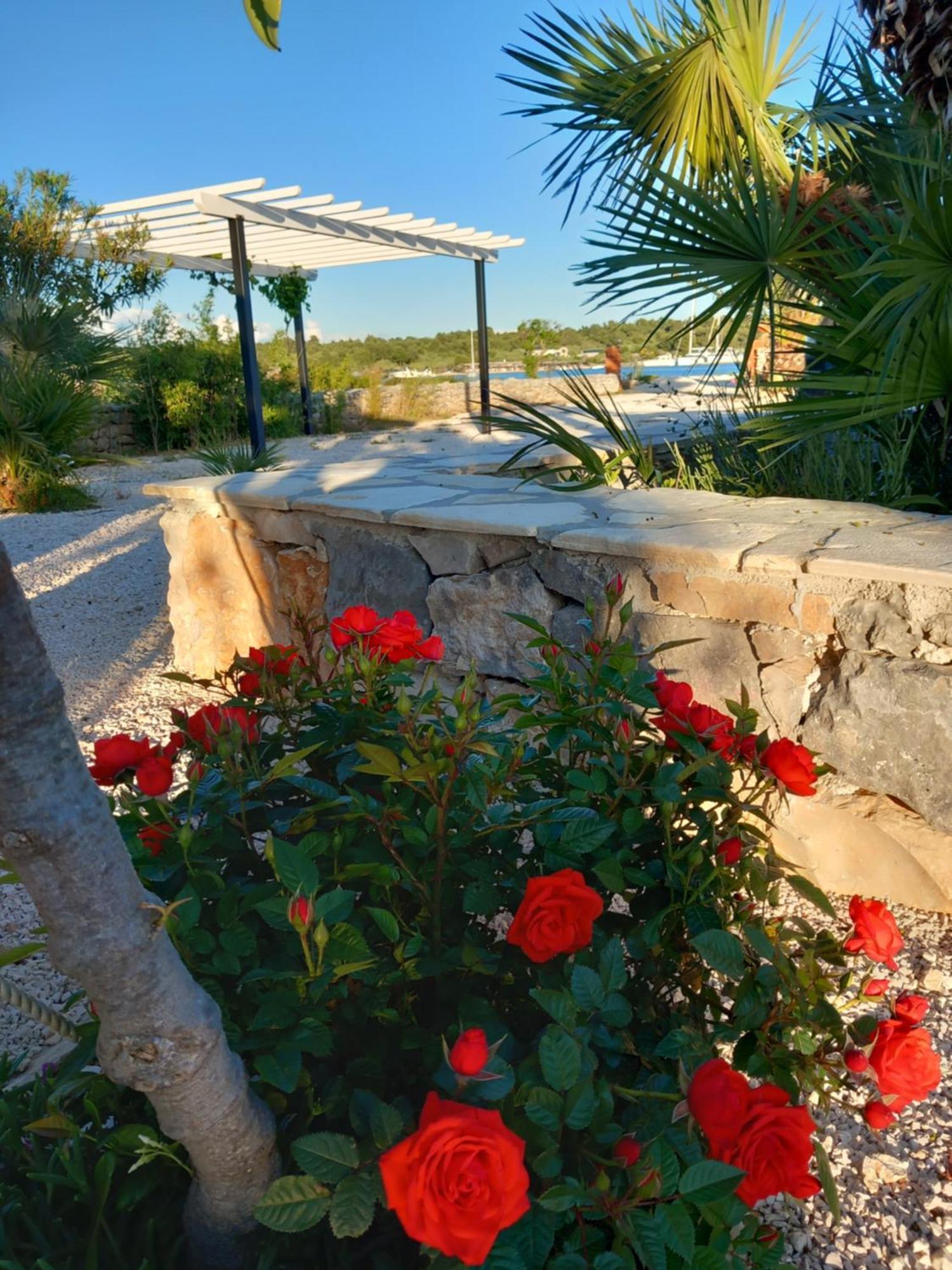 House Marina Grande Hébergement de vacances